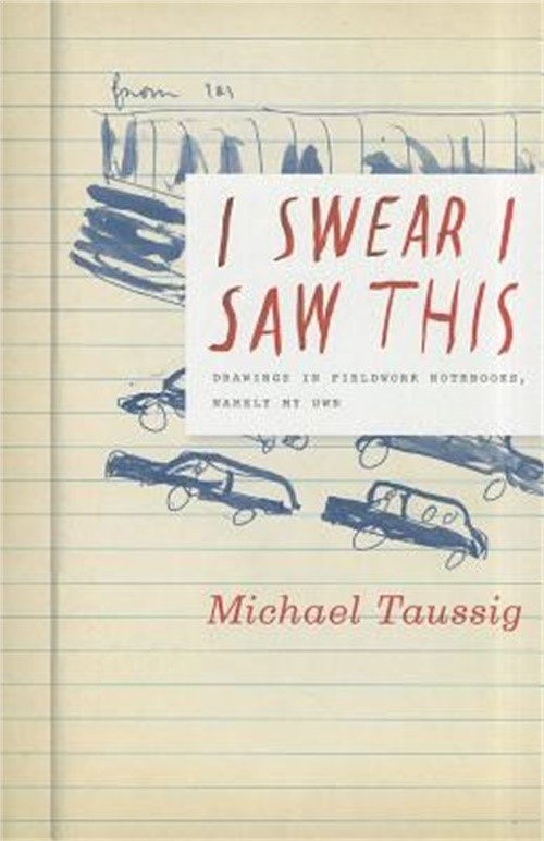 I Swear I Saw This: Drawings in Fieldwork Notebooks, Namely My Own (Paperback or
