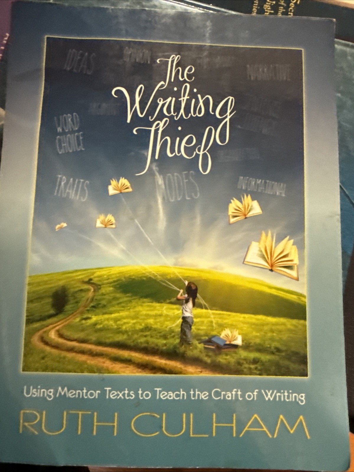 Writing Thief : Using Mentor Texts to Teach the Craft of Writing by Ruth Culham
