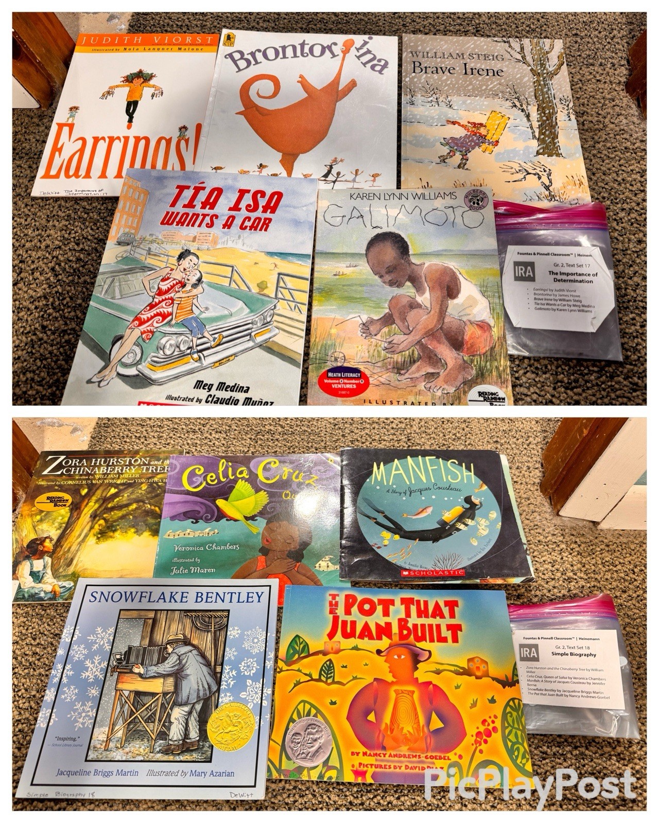 Heinemann Fountas & Pinnell Literacy Continuum Expanded Ed PreK-8 $1300 value
