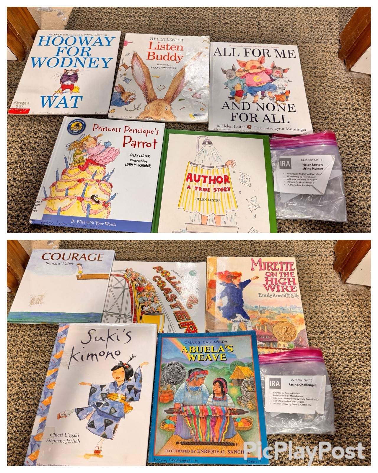 Heinemann Fountas & Pinnell Literacy Continuum Expanded Ed PreK-8 $1300 value