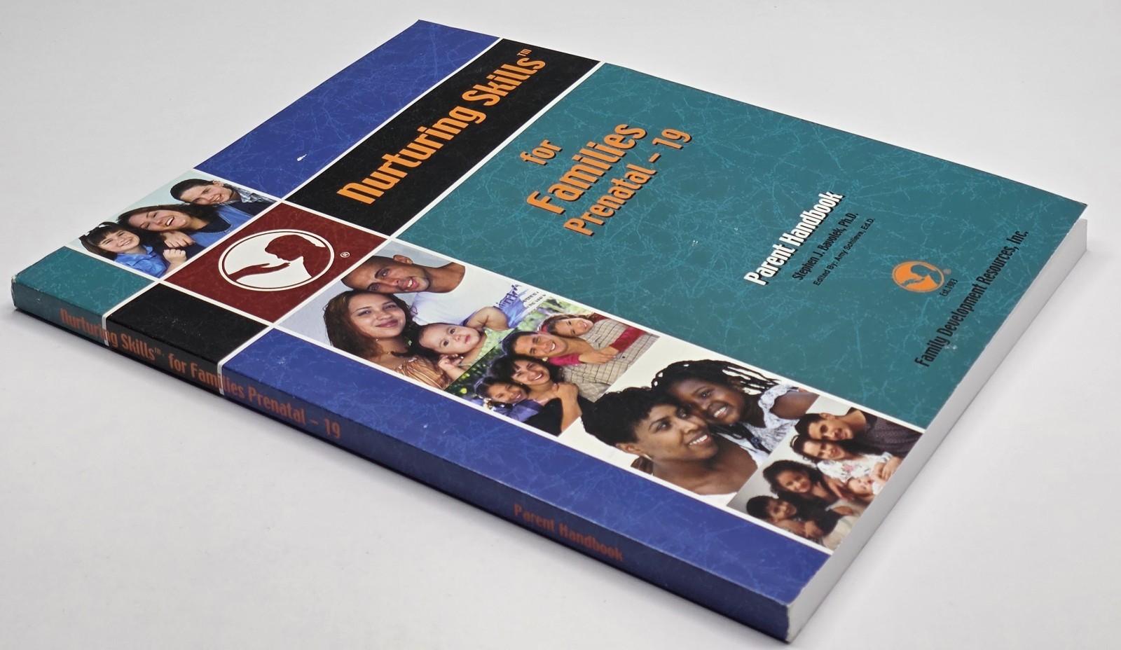 Nurturing Skills for Families Prenatal-19, Lesson Guide, Bavolek