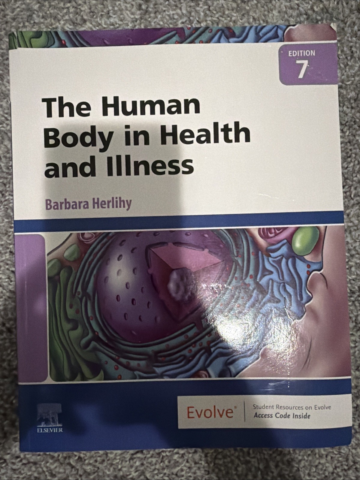 Human Body in Health and Illness by Barbara Herlihy (2021, Trade Paperback)