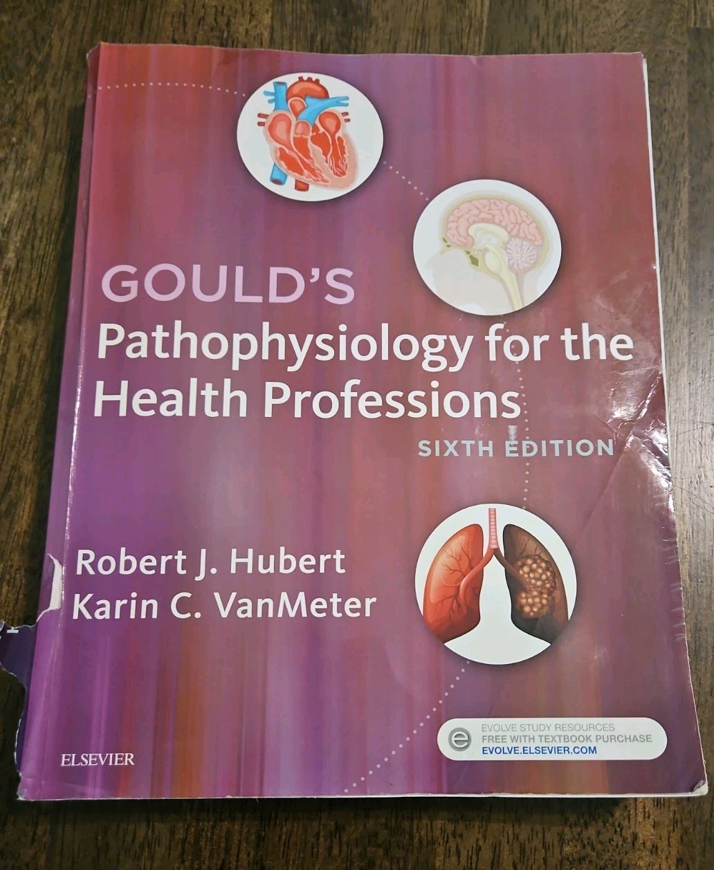 Gould’s Pathophysiology For The Health Professions Sixth Edition 2018