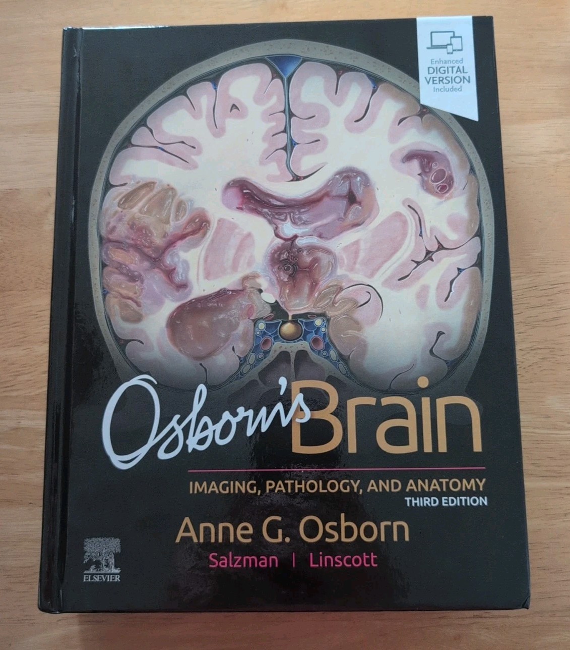 Osborn’s Brain Third Edition. PLEASE READ THE DESCRIPTION! Printing Error
