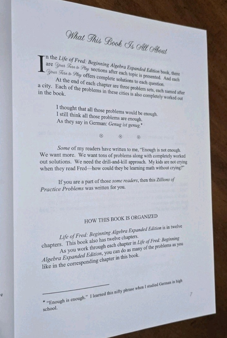 Zillions of Practice Problems Advance Algebra 2, Stanley F. Schmidt, Hardcover