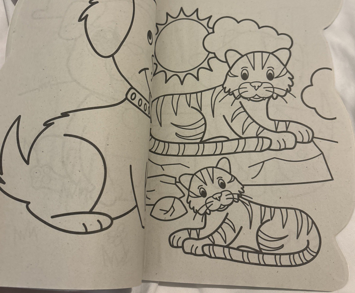 Animal Friends Coloring Book Paperback Book 112 Pages With 24 Crayola Crayons