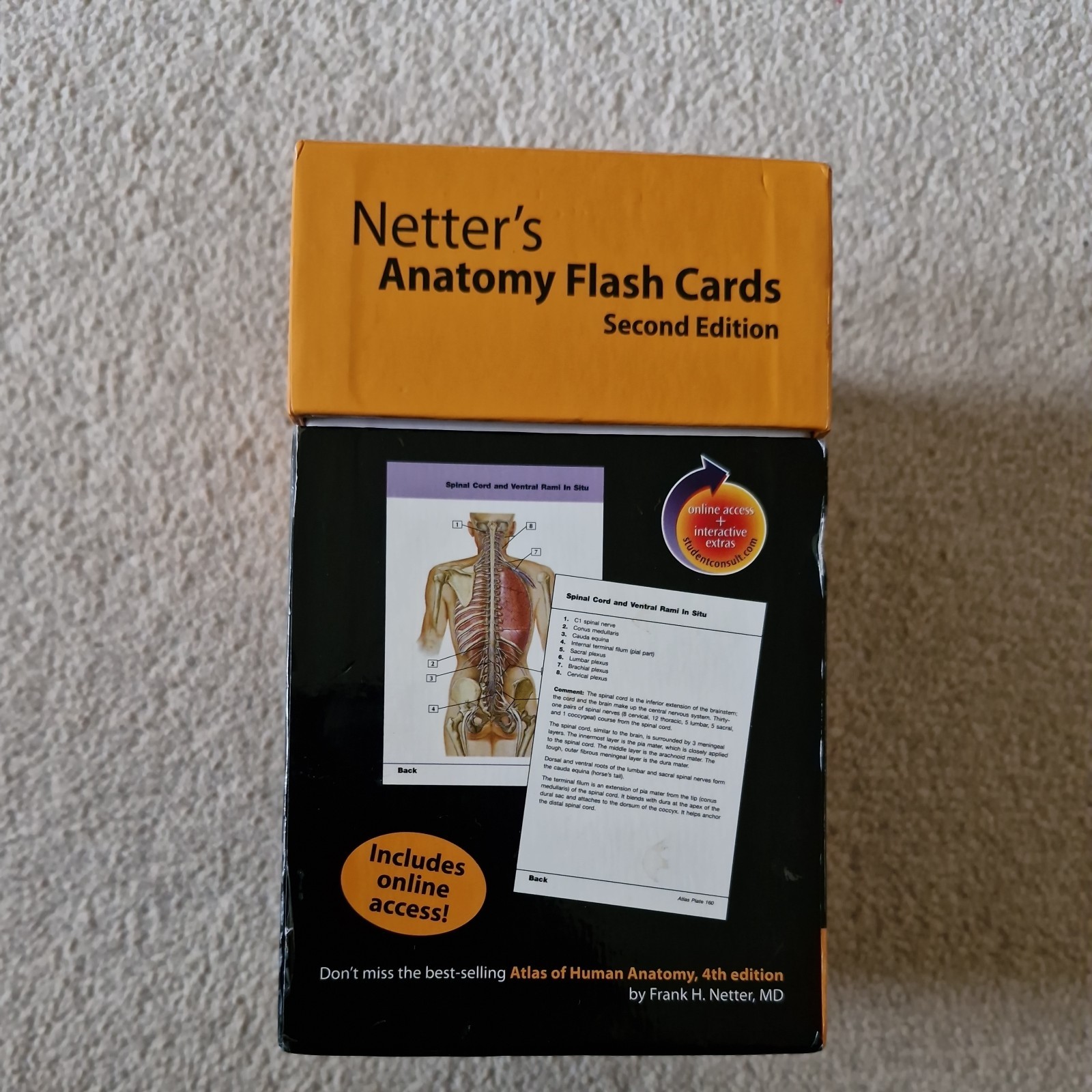 Netter’s Anatomy Flash Cards: With STUDENT C… by Hansen PhD, John T. Paperback