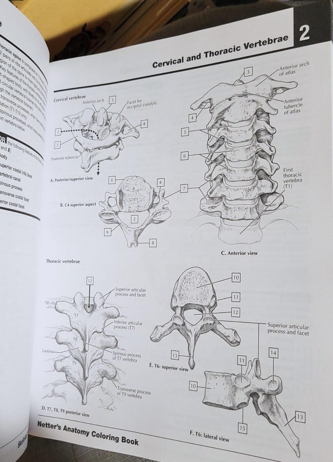 John T. Hansen NETTER’S ANATOMY COLORING BOOk 2nd Ed 2014 WITH CODE – CLEAN