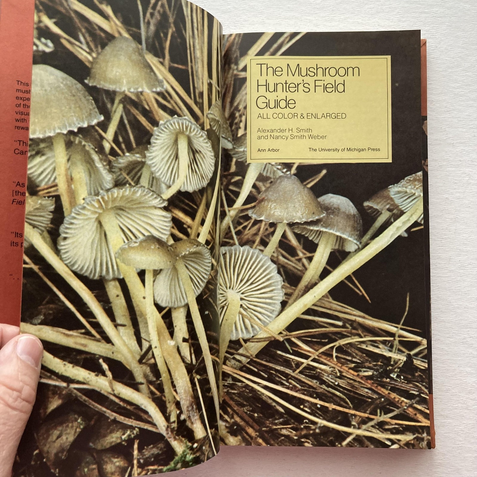Vintage 1980 Mushroom Hunter’s Field Guide Smith Weber Univ Michigan HC Mycology