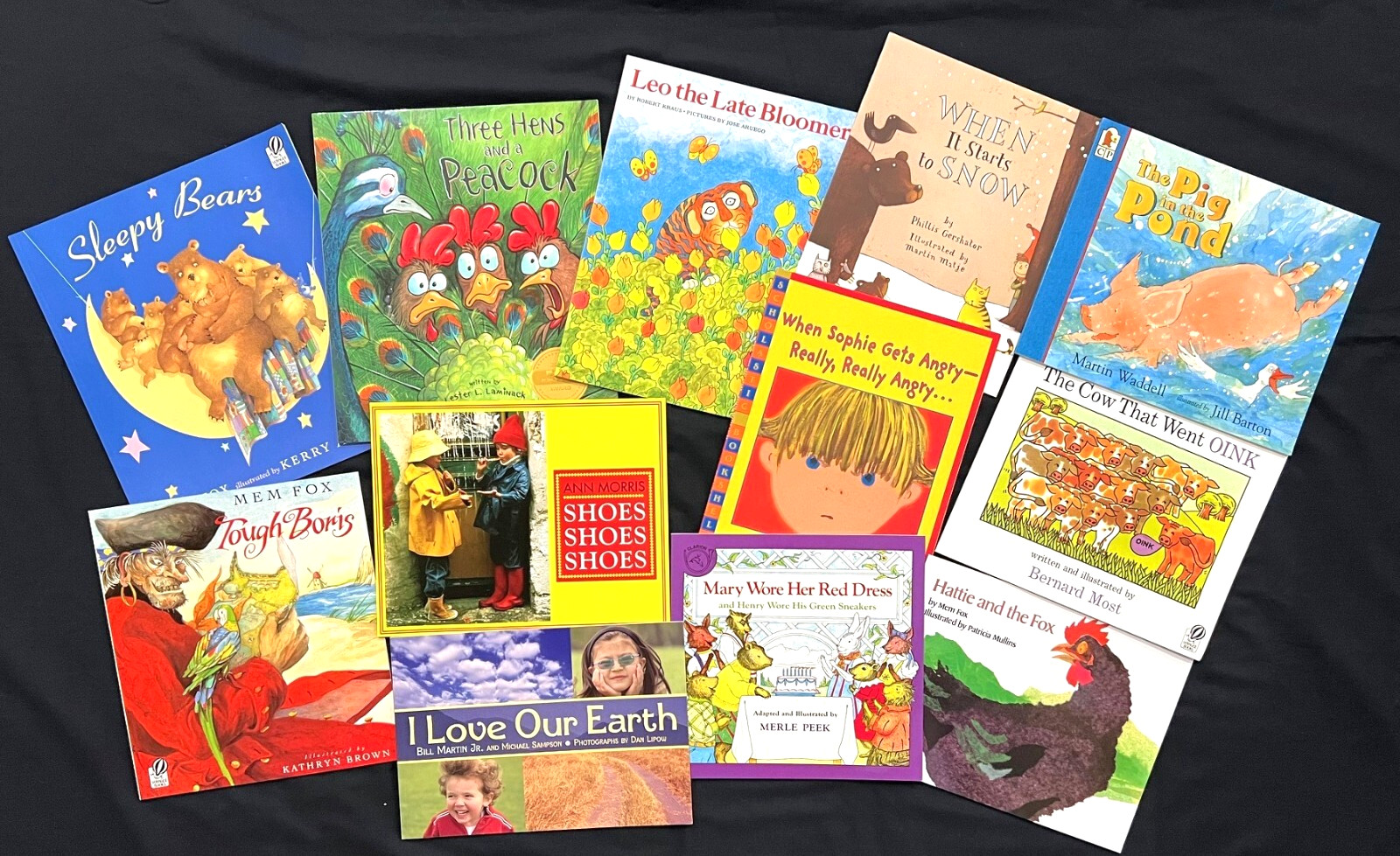 Kindergarten – FOUNTAS & PINNELL – Interactive Read-Aloud (12 books) (Set 1)