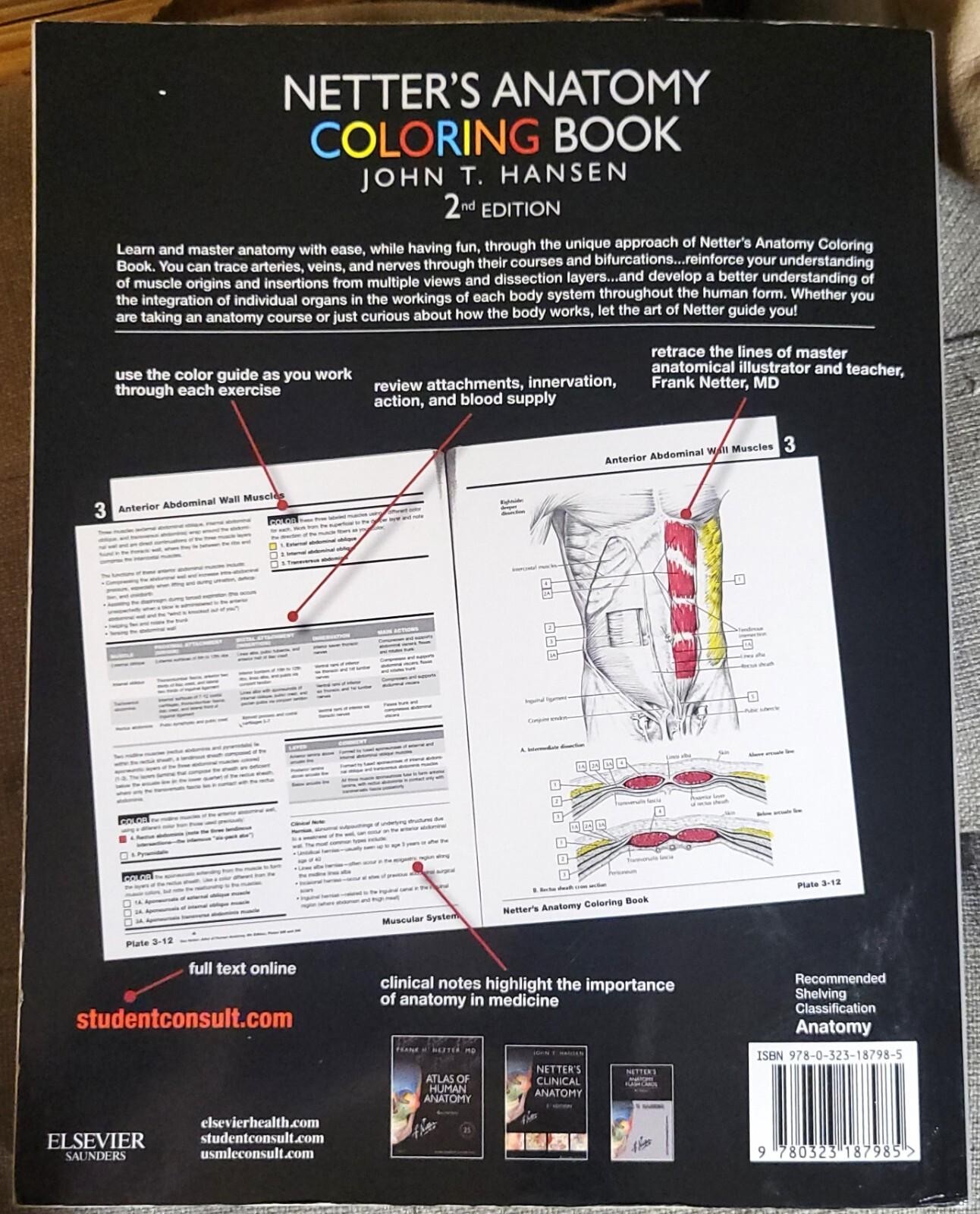 John T. Hansen NETTER’S ANATOMY COLORING BOOk 2nd Ed 2014 WITH CODE – CLEAN
