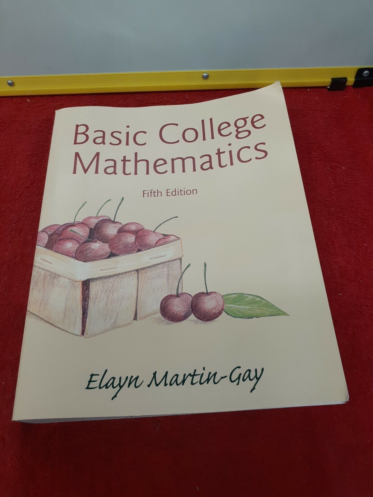 BASIC COLLEGE MATHEMATICS (5TH EDITION) By Elayn Martin-gay **BRAND NEW**