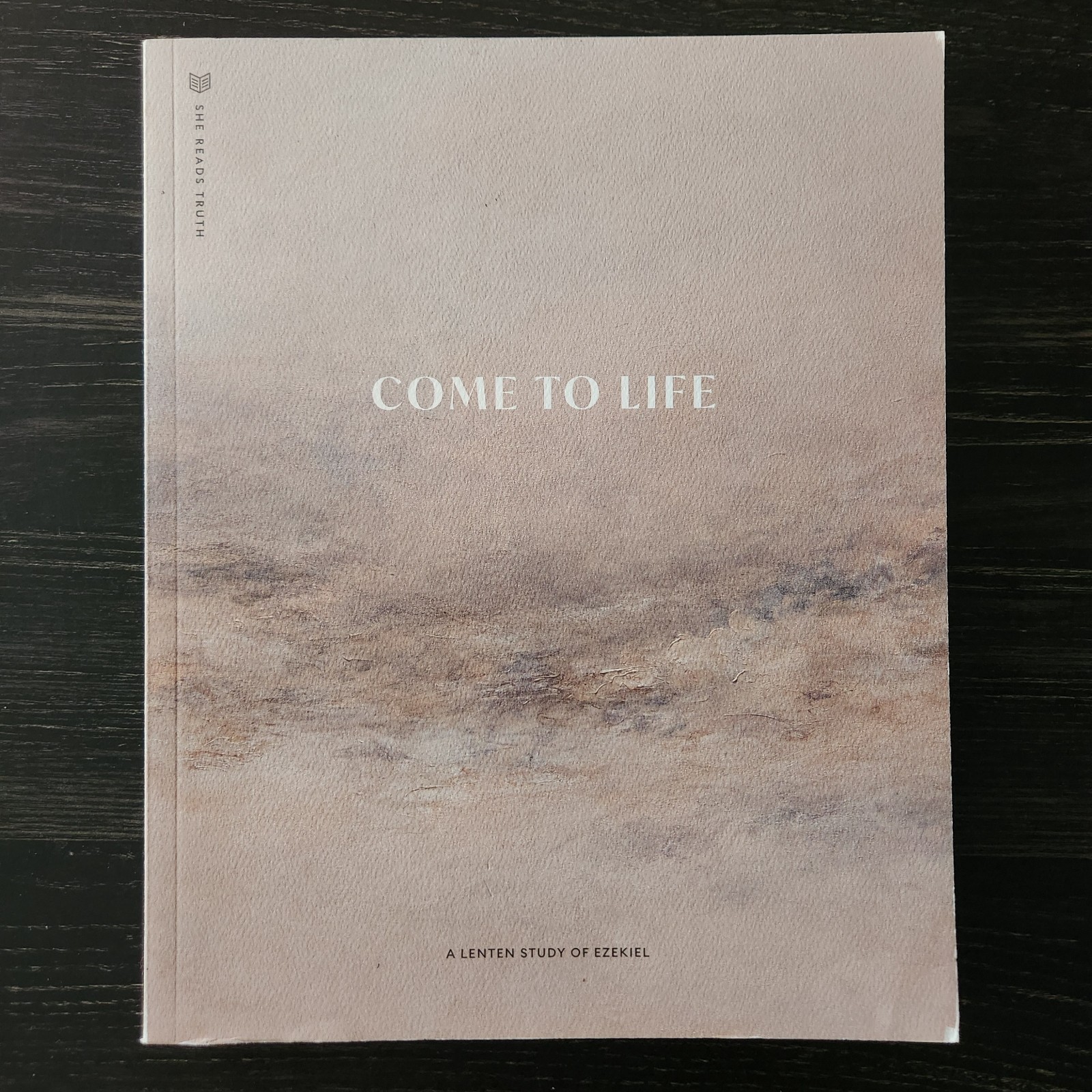 She Reads Truth Come to Life Lenten Study of Ezekiel Lent 2022 Bible Study SRT
