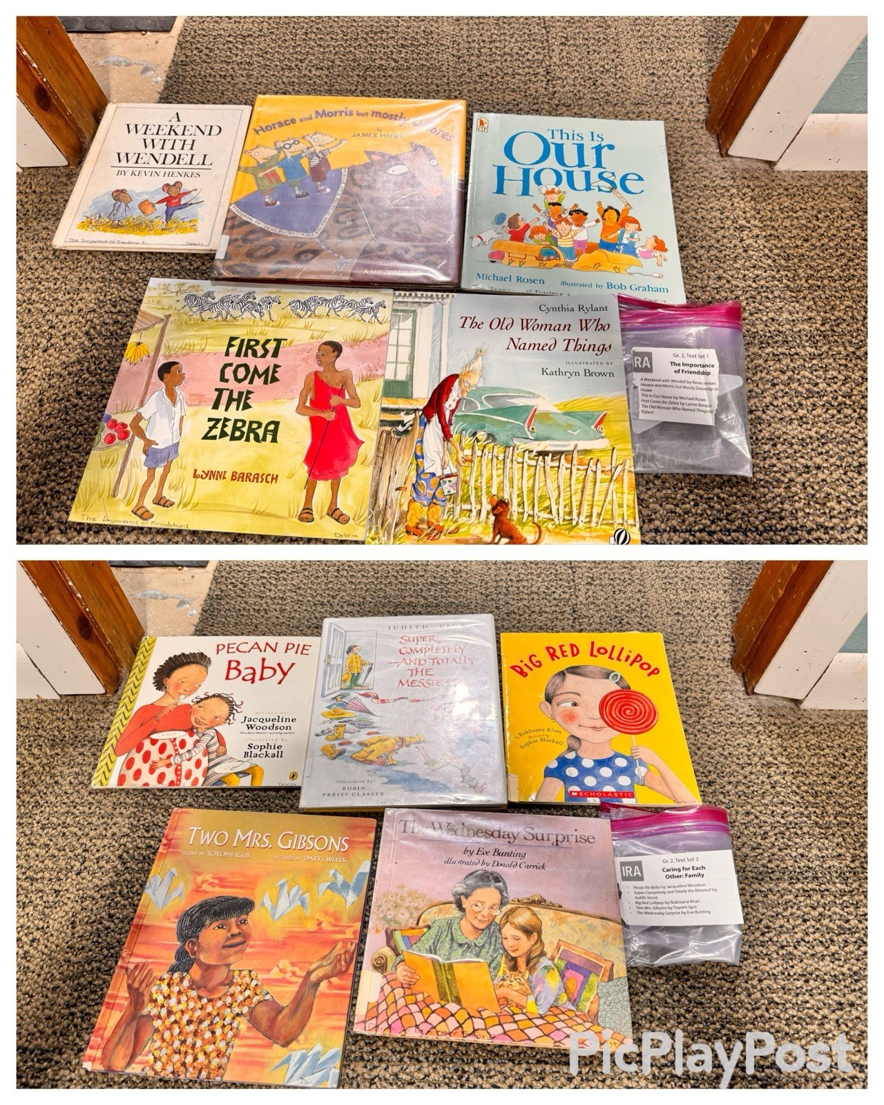 Heinemann Fountas & Pinnell Literacy Continuum Expanded Ed PreK-8 $1300 value