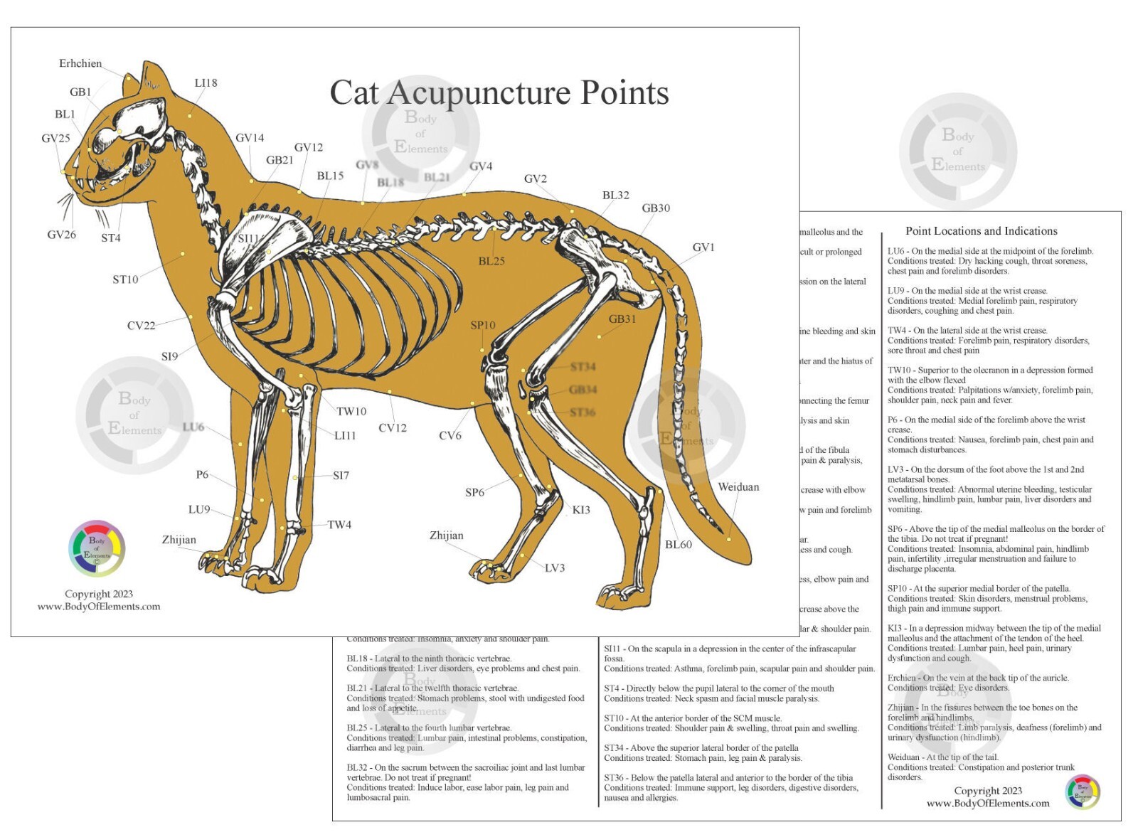 Cat Acupressure Acupuncture Chart 8.5″ X 11″ Feline Veterinary Holistic