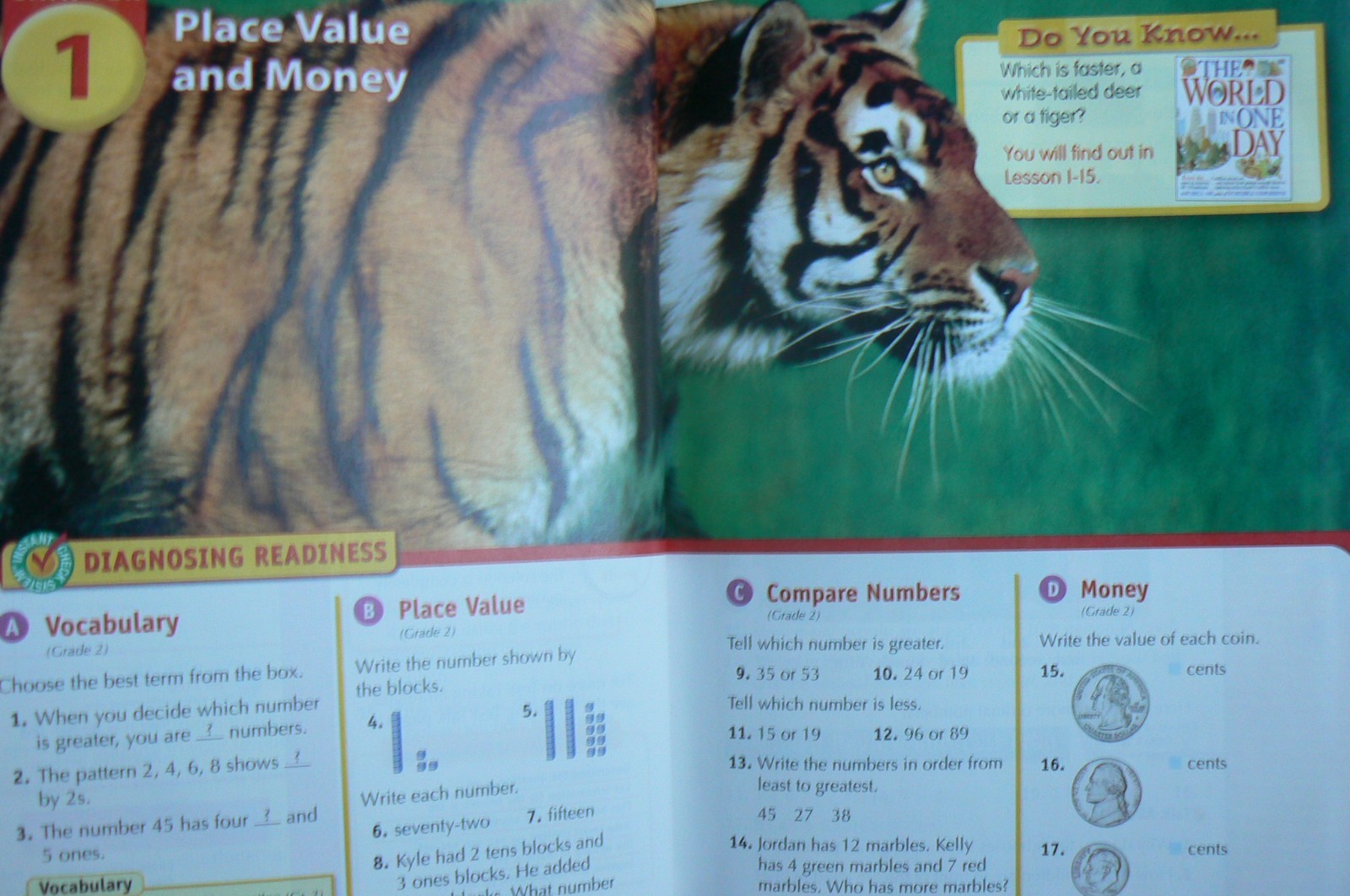 Scott Foresman MATH, gr.3/3rd text 2008 Diamond Edition LN!