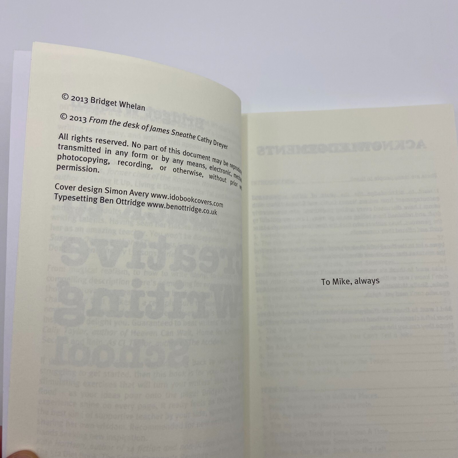 Back to Creative Writing School by Bridget Whelan Paperback How to Write Book