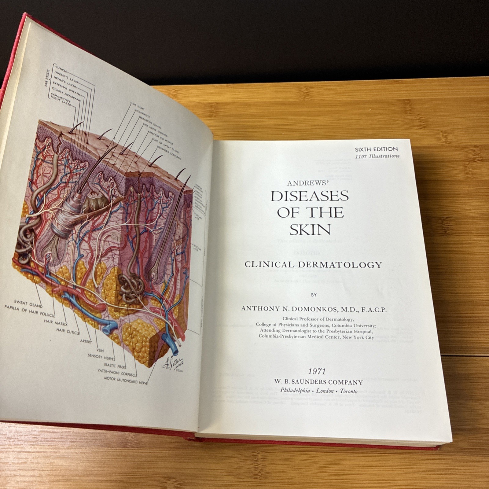 Andrews’ Diseases of the Skin Clinical Dermatology 6th Edition Domonkos 1971 VTG