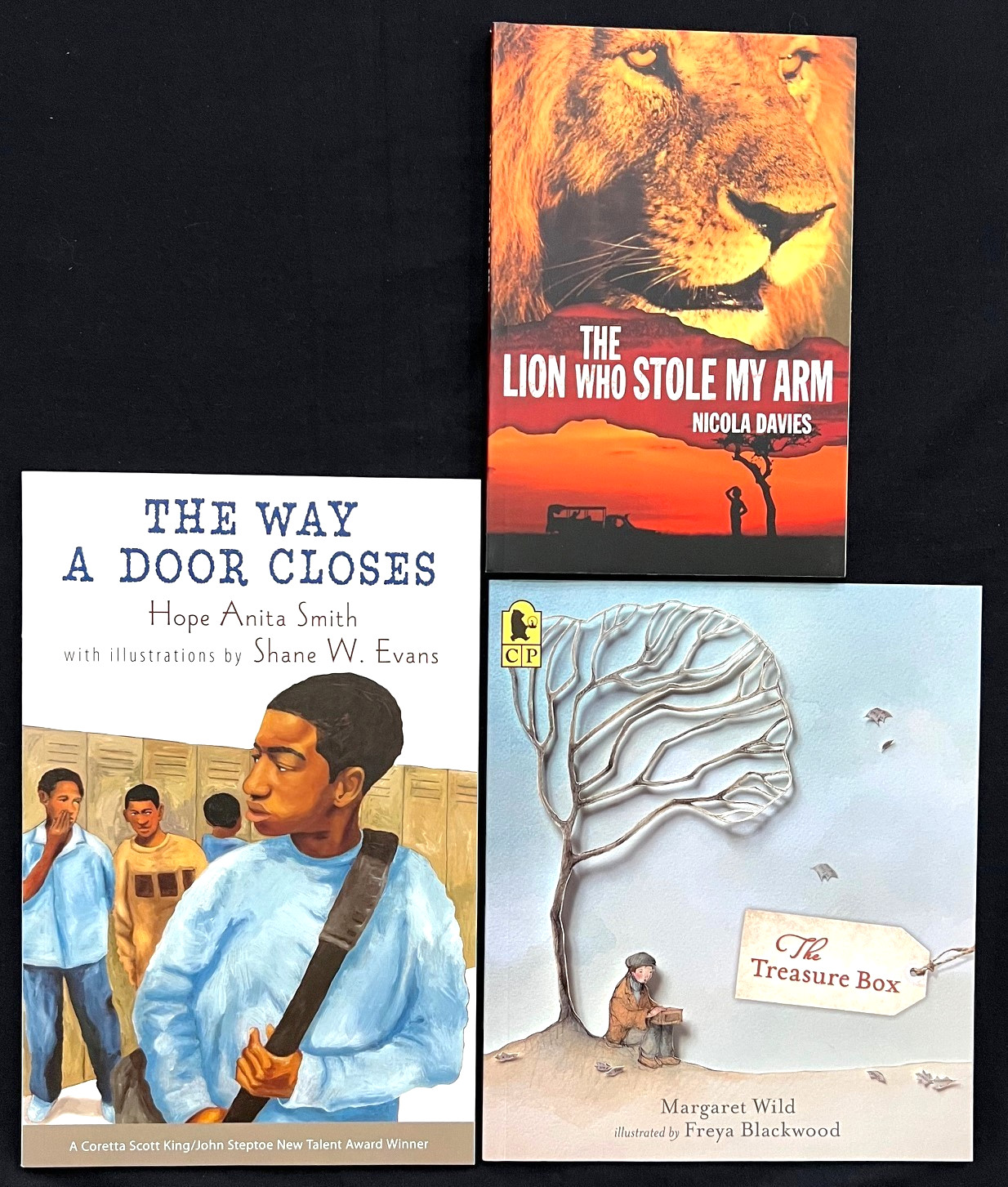 5th Grade – FOUNTAS & PINNELL – Interactive Read-Aloud (23 books) (Sets 1 – 8)