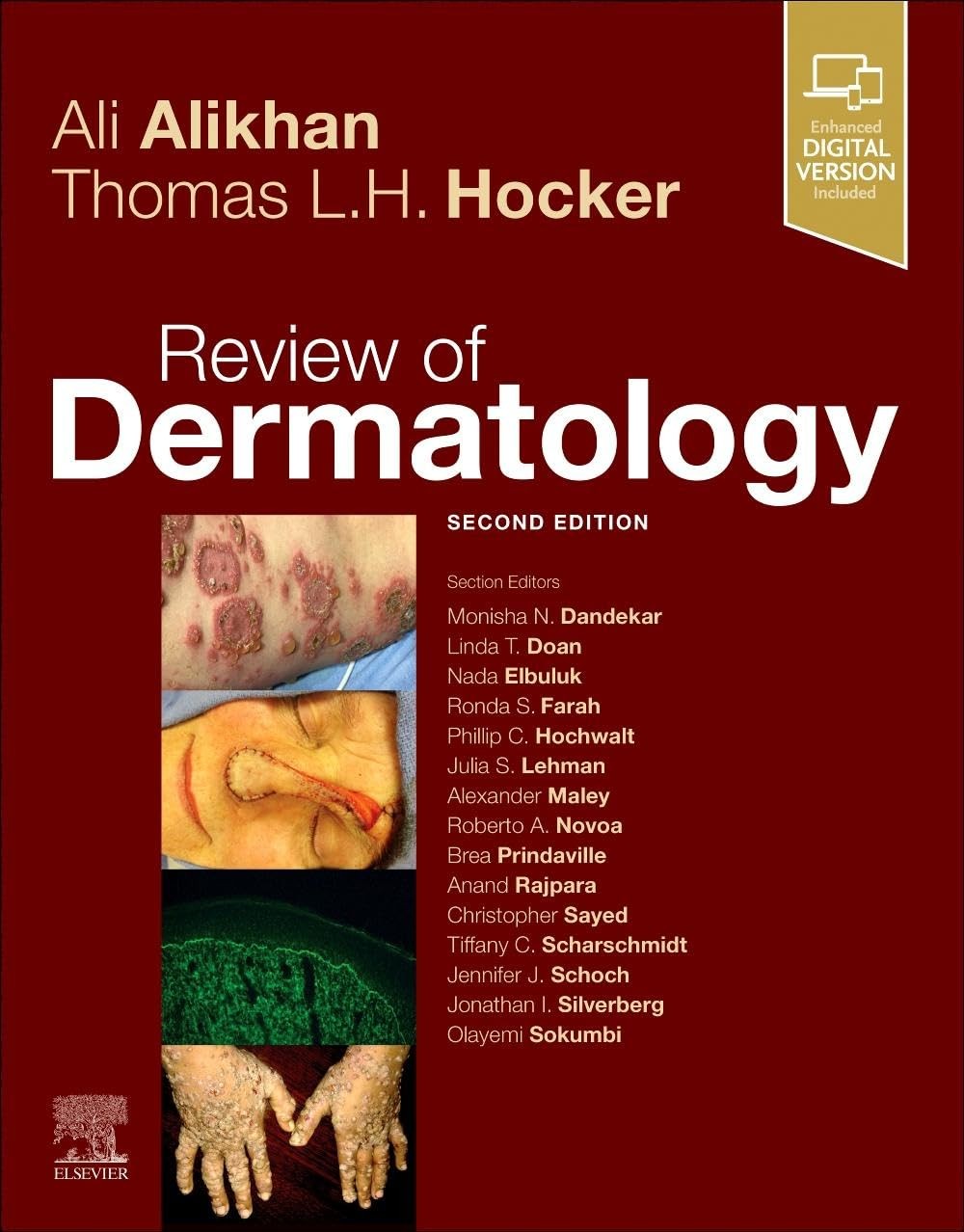REVIEW OF DERMATOLOGY BY Thomas L.h. Hocker Md Mphil PAPERBACK **ACCEPTABLE**