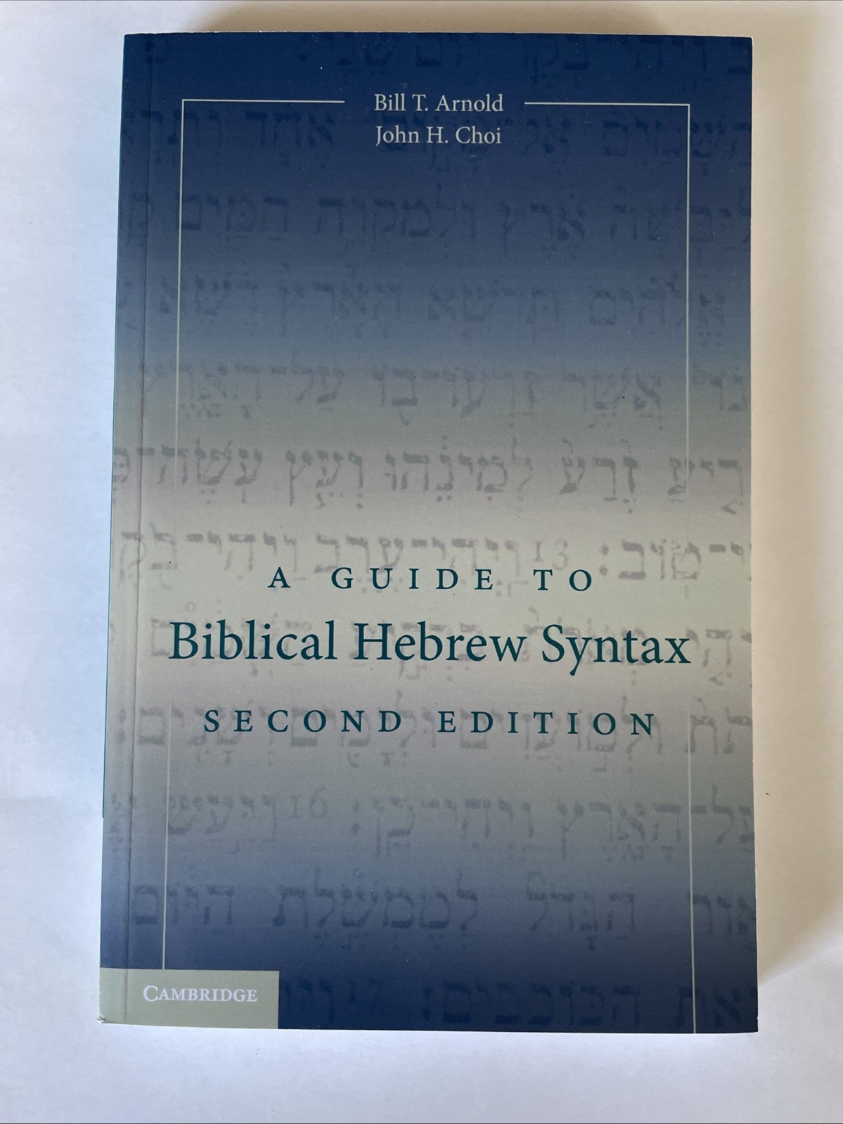 A Guide to Biblical Hebrew Syntax Paperback Bill Arnold Bill John Choi Like New