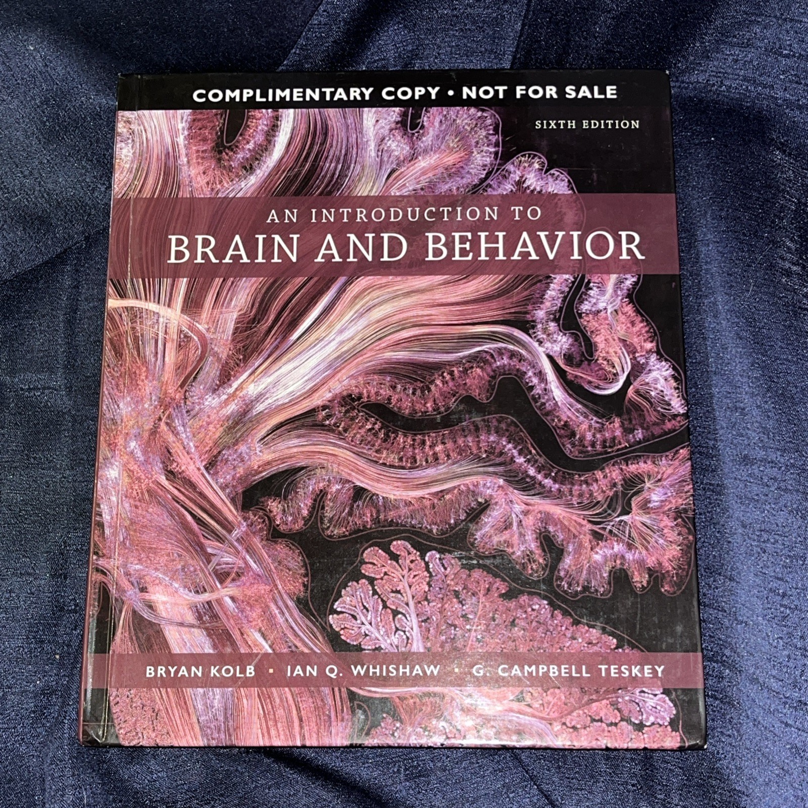 Introduction to Brain and Behavior Sixth Edition Ian Whishaw Teskey Bryan Kolb