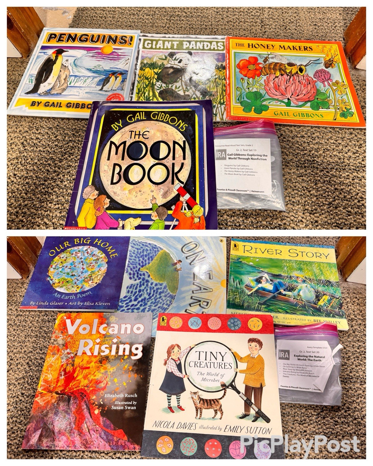 Heinemann Fountas & Pinnell Literacy Continuum Expanded Ed PreK-8 $1300 value