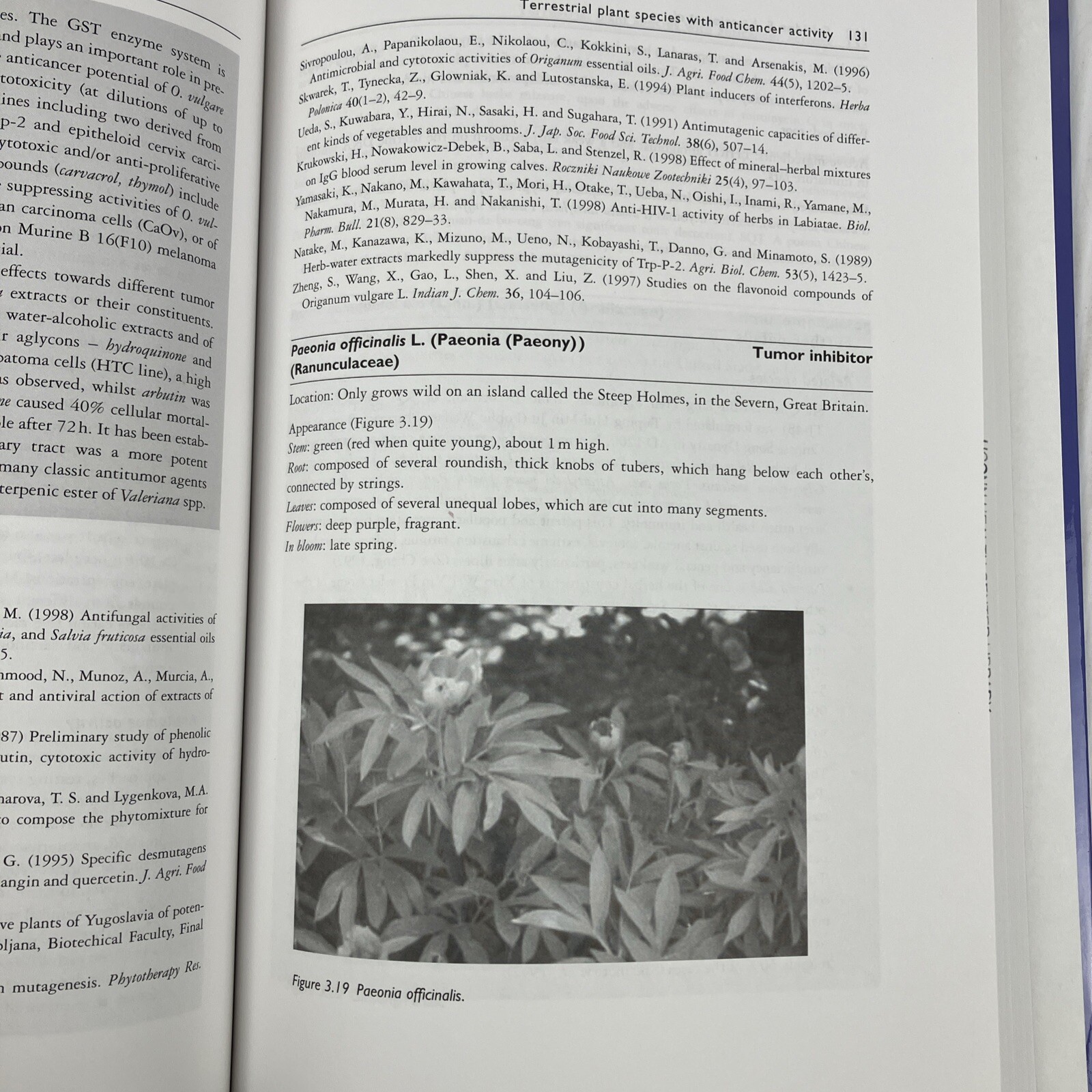 Plants That Fight Cancer by Maria G. Barberaki 2004 HC medicinal plants