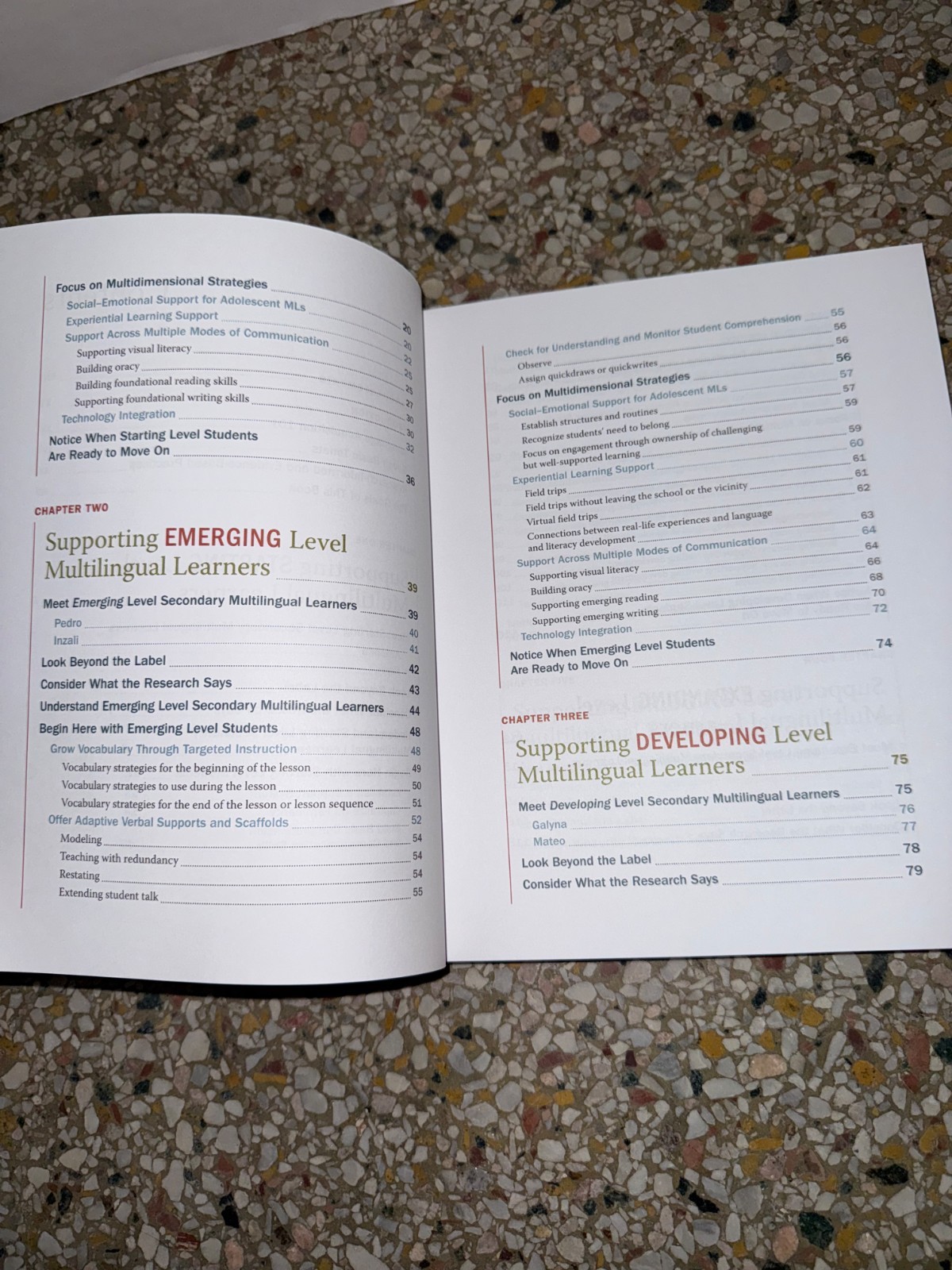 Heinemann Growing Language & Literacy Honigsfeld Paperback Grades 6-12