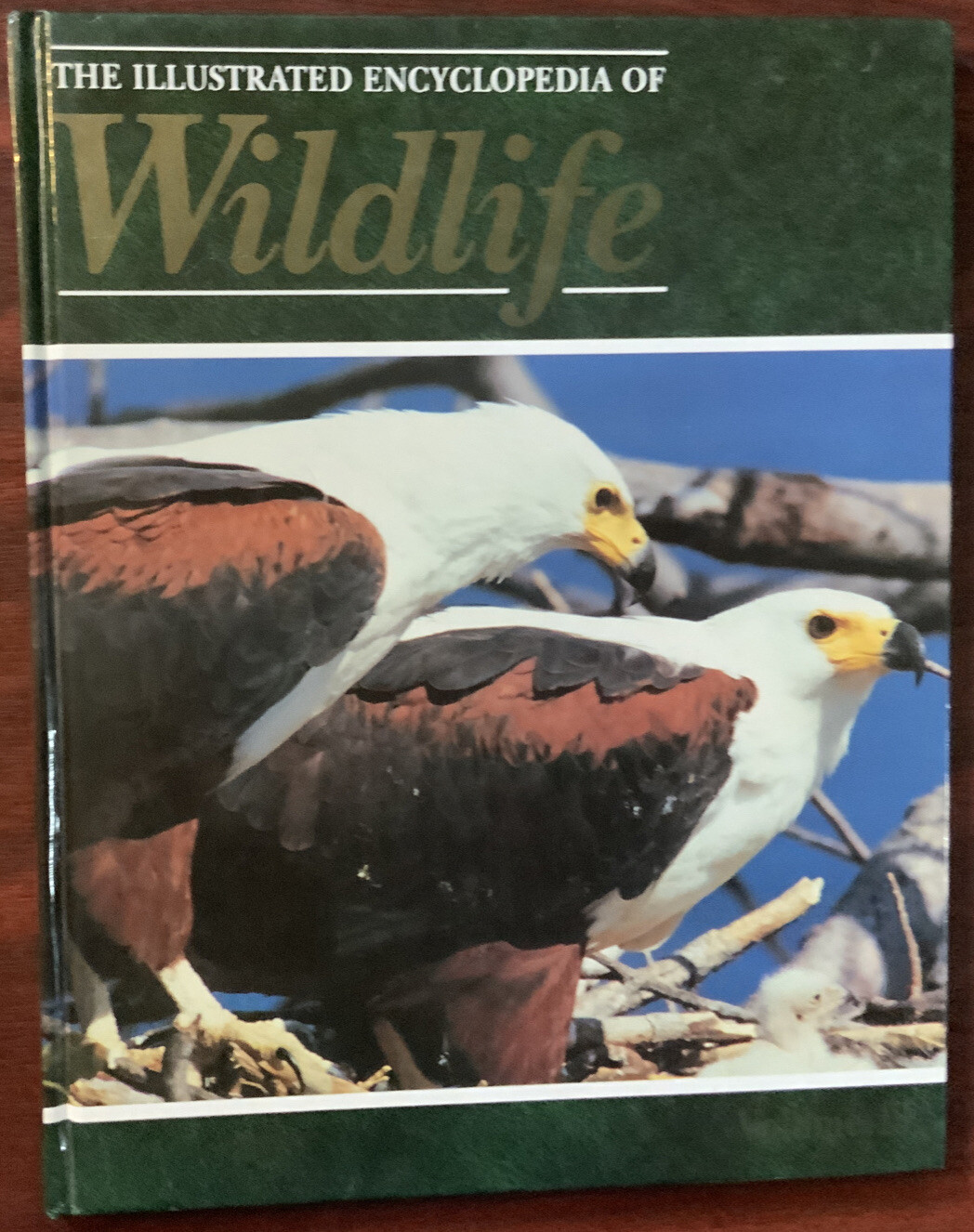 THE ILLUSTRATED ENCYCLOPEDIA OF WILDLIFE – VOLUME 18 – Pages 1021-1080 -Hardback