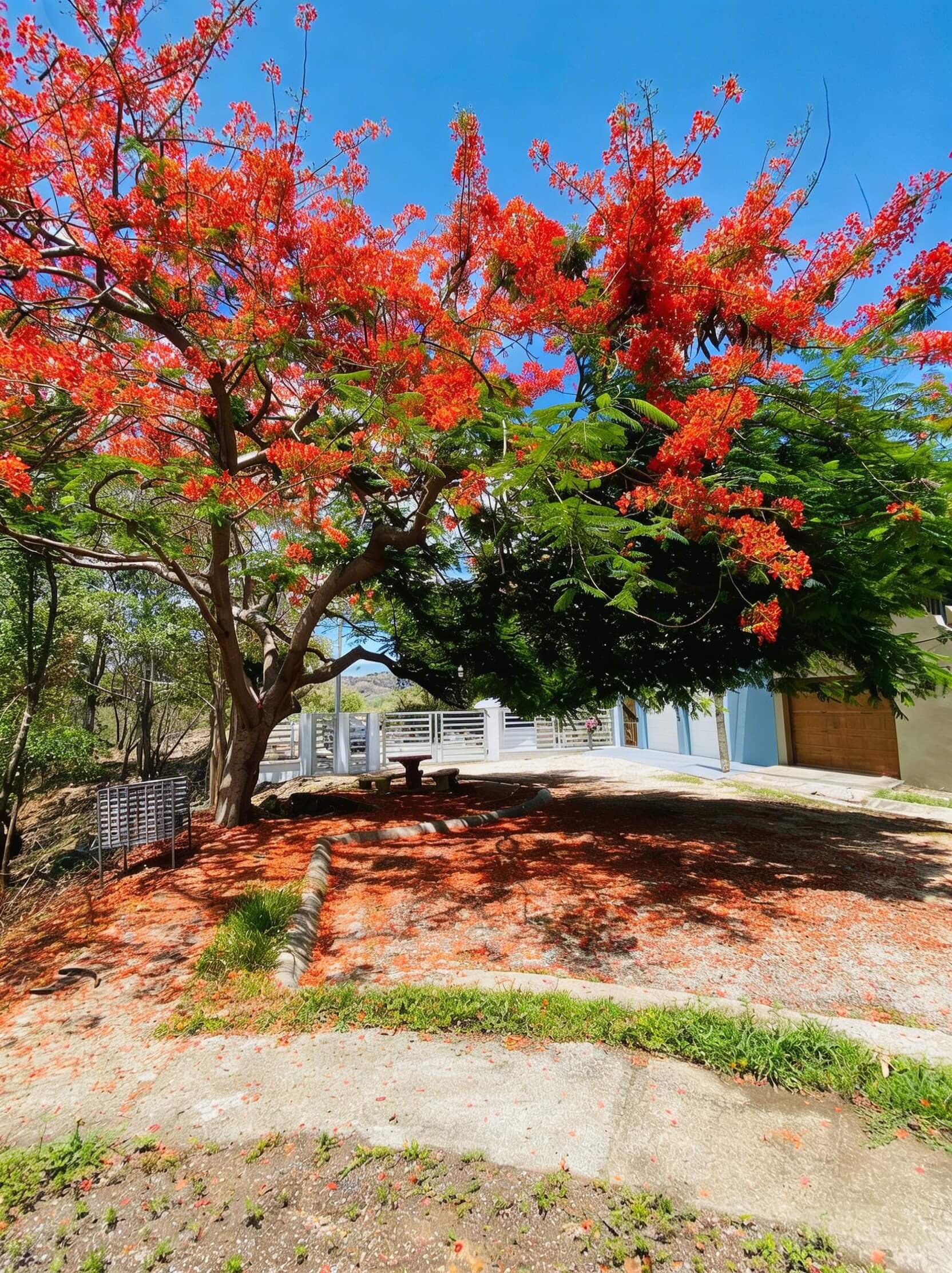 Valle Escondido - Naturaleza